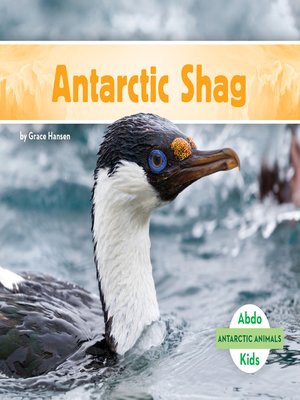 cover image of Antarctic Shag